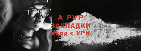 a pvp Белокуриха